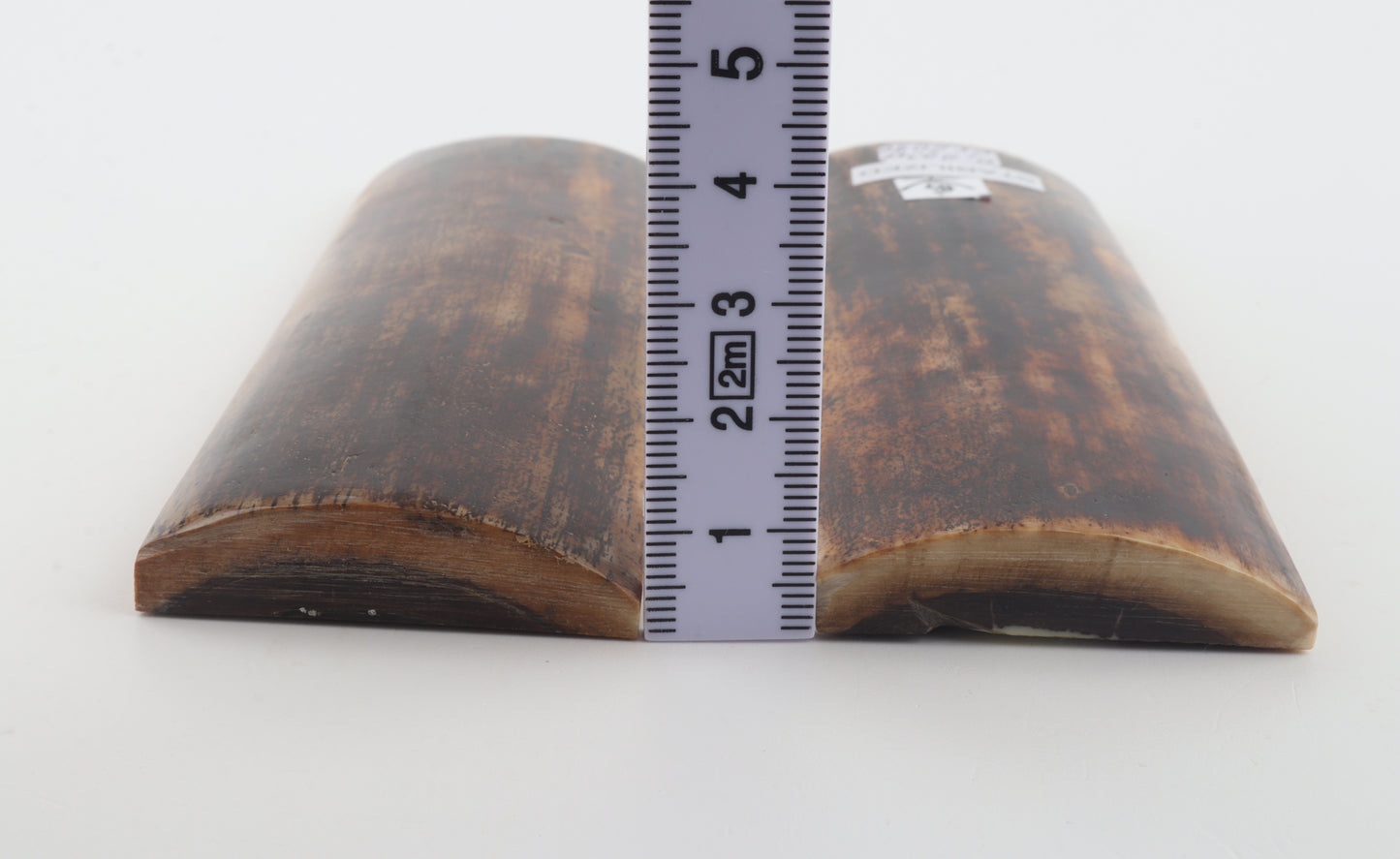 Stabilised mammoth bark scales
