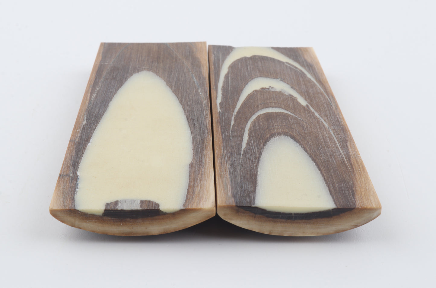 Stabilised mammoth bark scales