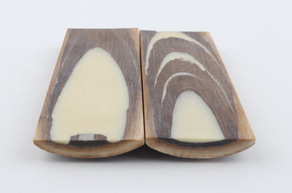 Stabilised mammoth bark scales