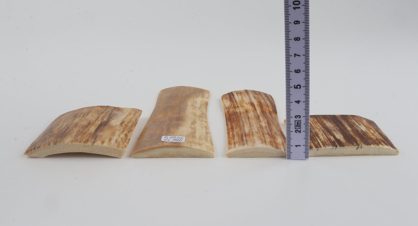 Natural mammoth bark pieces