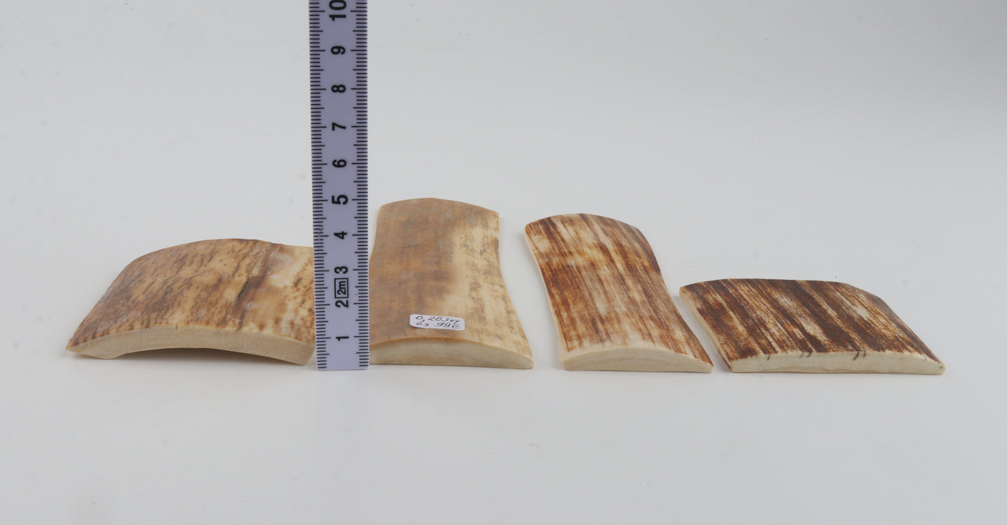 Natural mammoth bark pieces