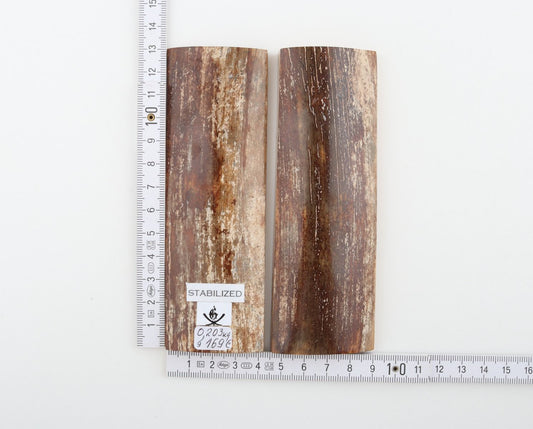 Stabilized mammoth bark scales