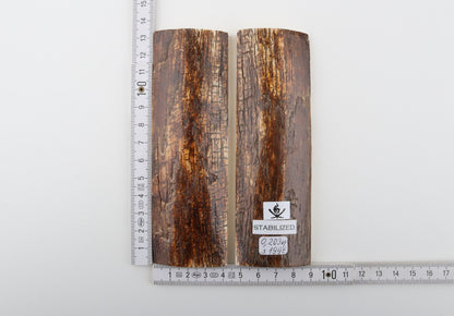 Stabilised mammoth bark scales