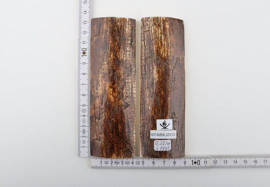 Stabilised mammoth bark scales