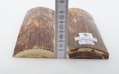 Stabilised mammoth bark scales