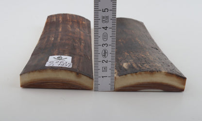 Natural mammoth bark scales
