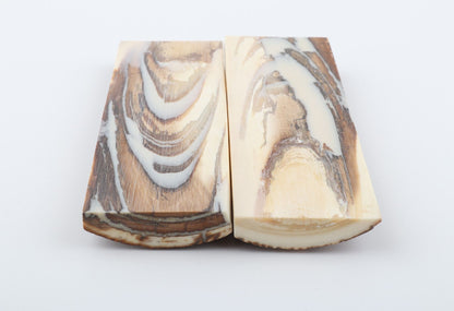 Stabilised mammoth bark scales