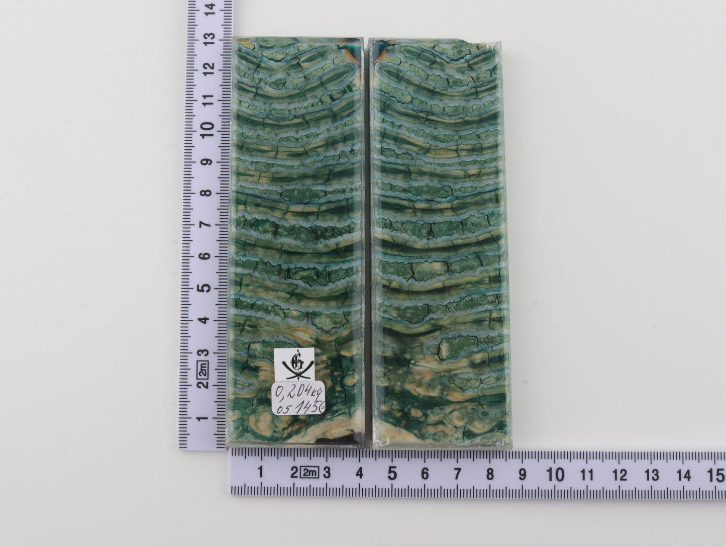 Stabilized mammoth molar scales