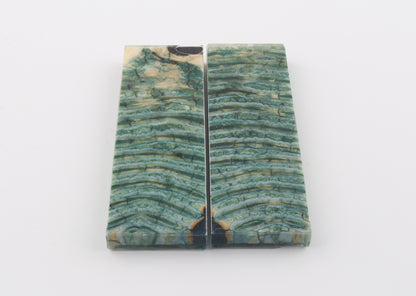 Stabilized mammoth molar scales