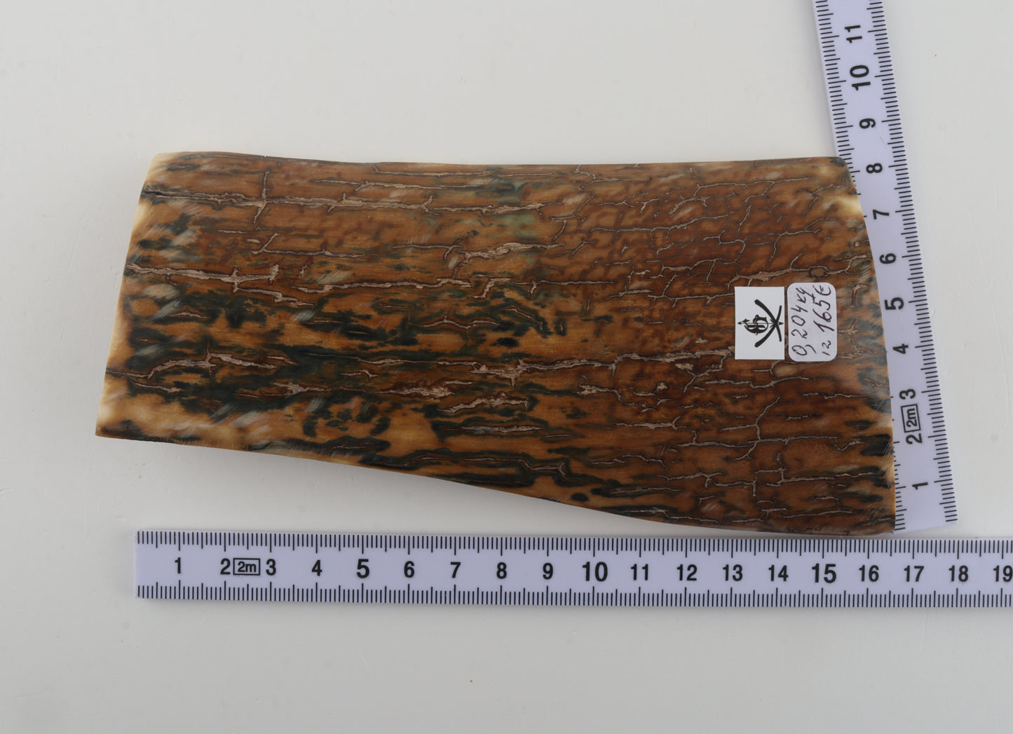 Blue-caramel mammoth bark