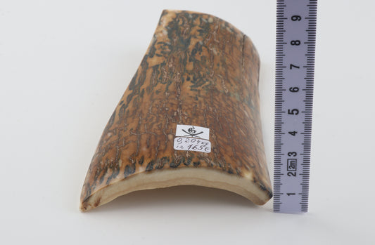 Blue-caramel mammoth bark