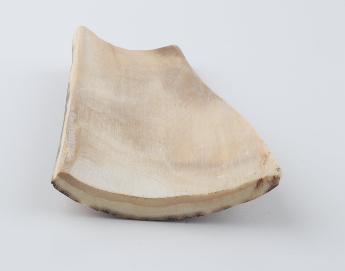 Blue-caramel mammoth bark