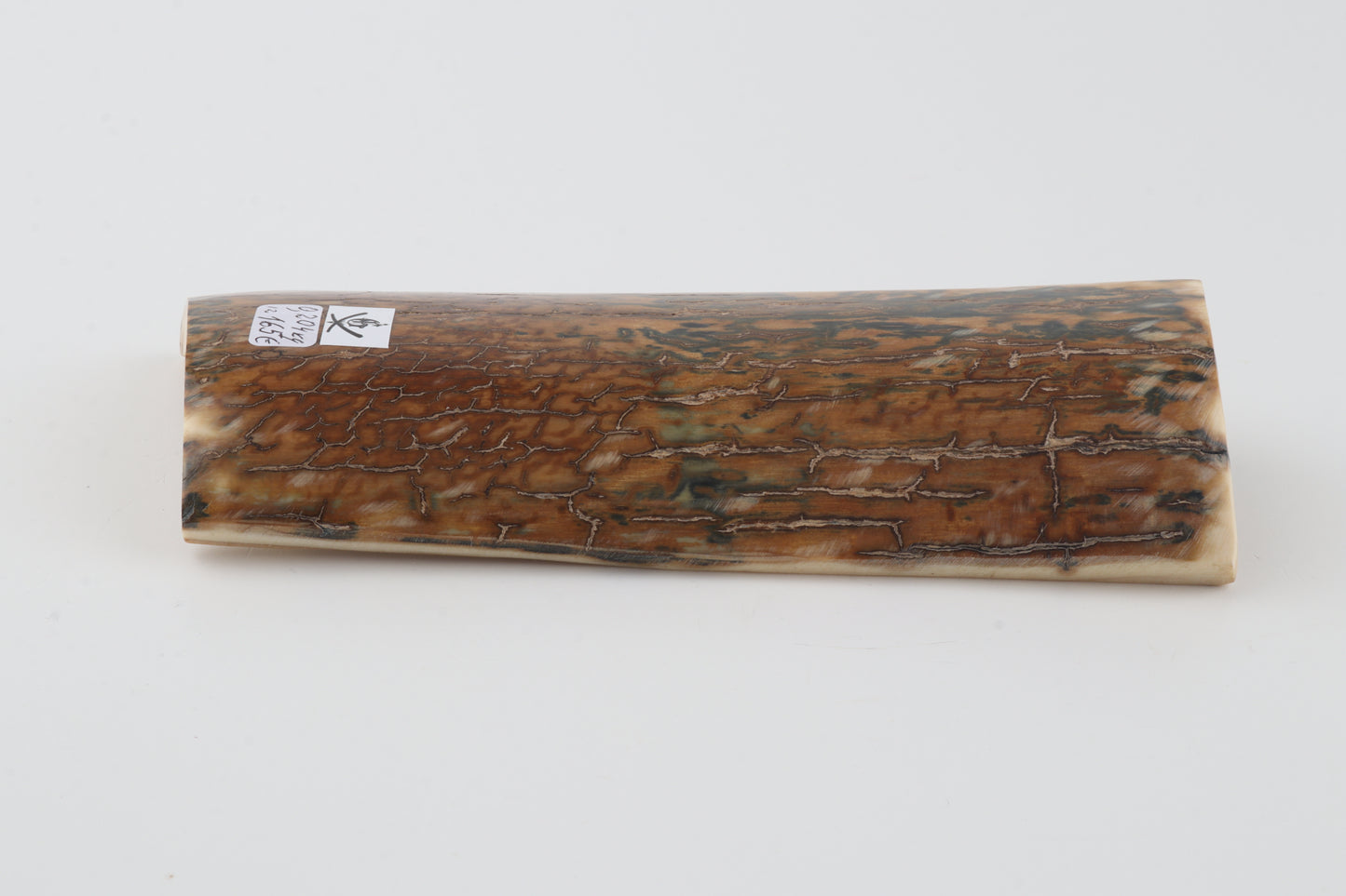 Blue-caramel mammoth bark