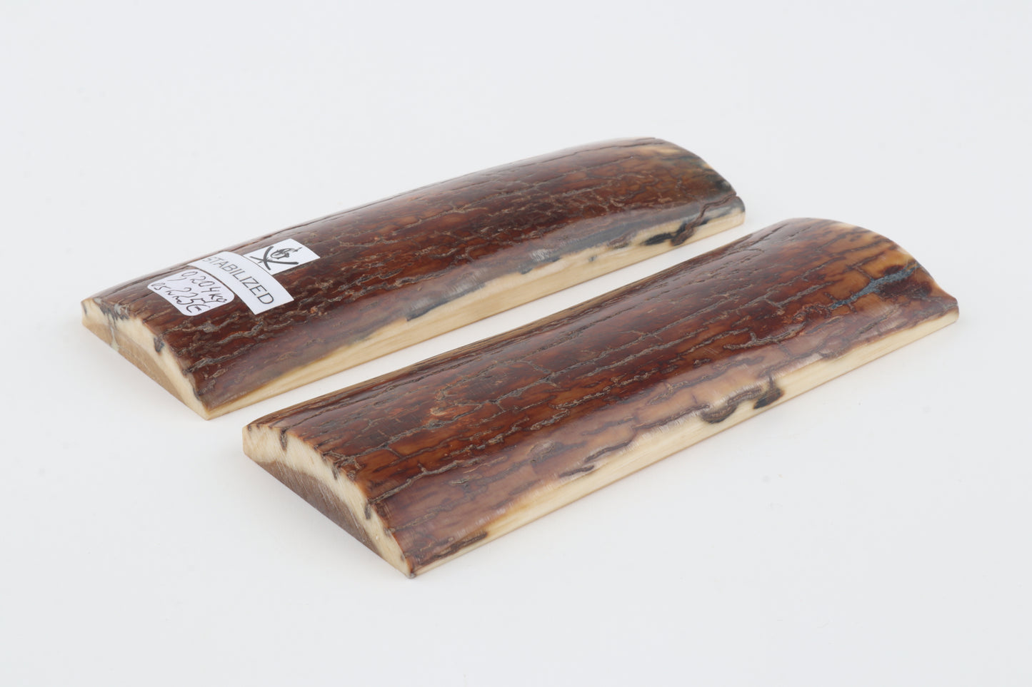 Stabilised mammoth bark scales