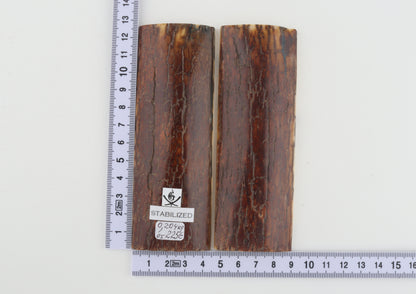Stabilised mammoth bark scales