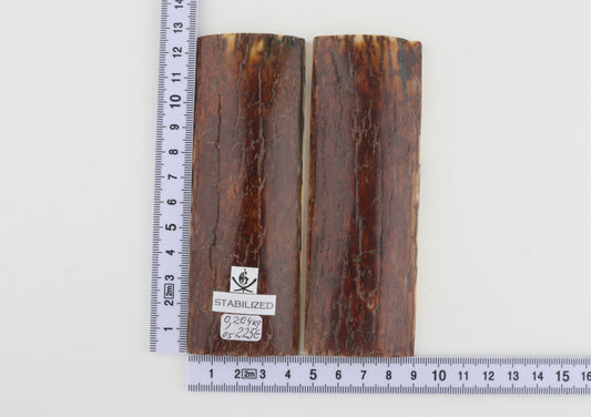 Stabilised mammoth bark scales