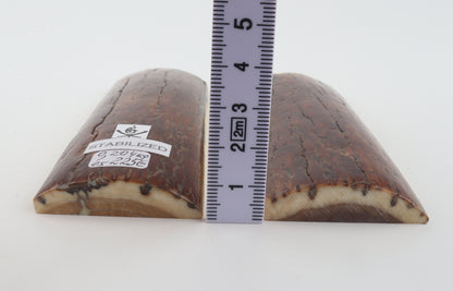 Stabilised mammoth bark scales