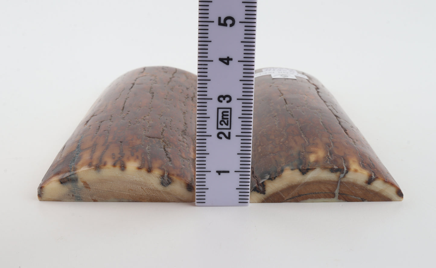 Stabilised mammoth bark scales