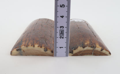 Stabilised mammoth bark scales