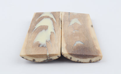 Stabilised mammoth bark scales