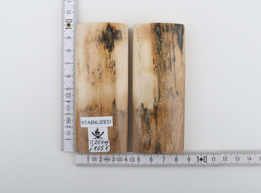 Stabilised mammoth bark scales