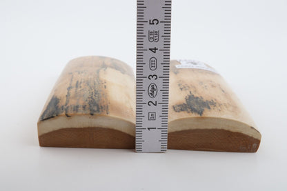 Stabilised mammoth bark scales