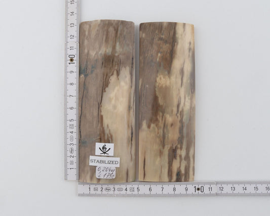Stabilized mammoth bark scales