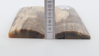 Stabilized mammoth bark scales