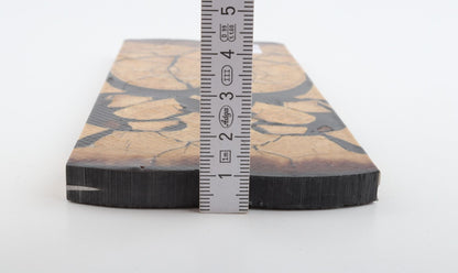 Stabilised mammoth ivory scales