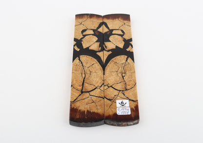 Stabilised mammoth ivory scales