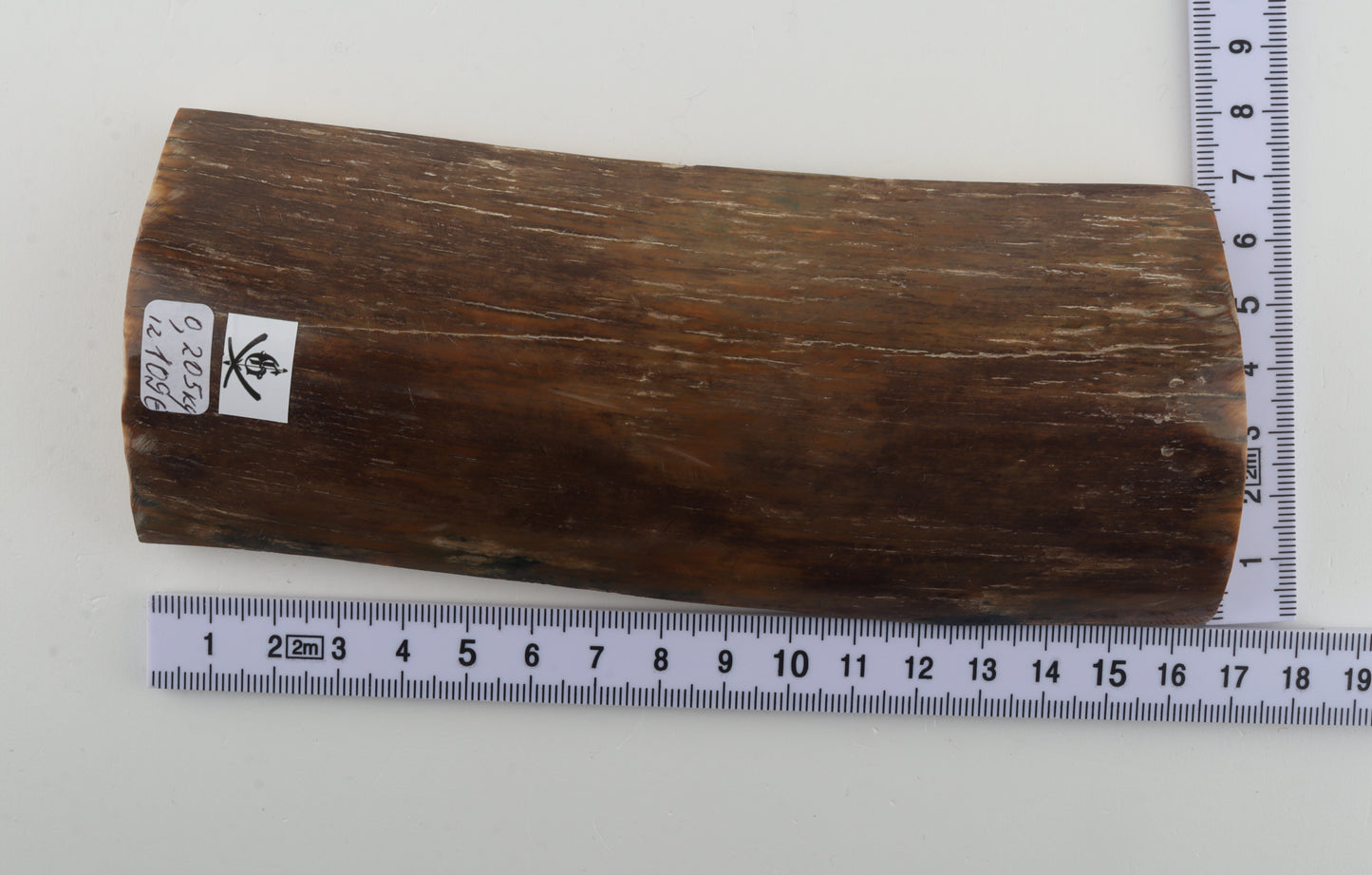 Green-brown mammoth bark