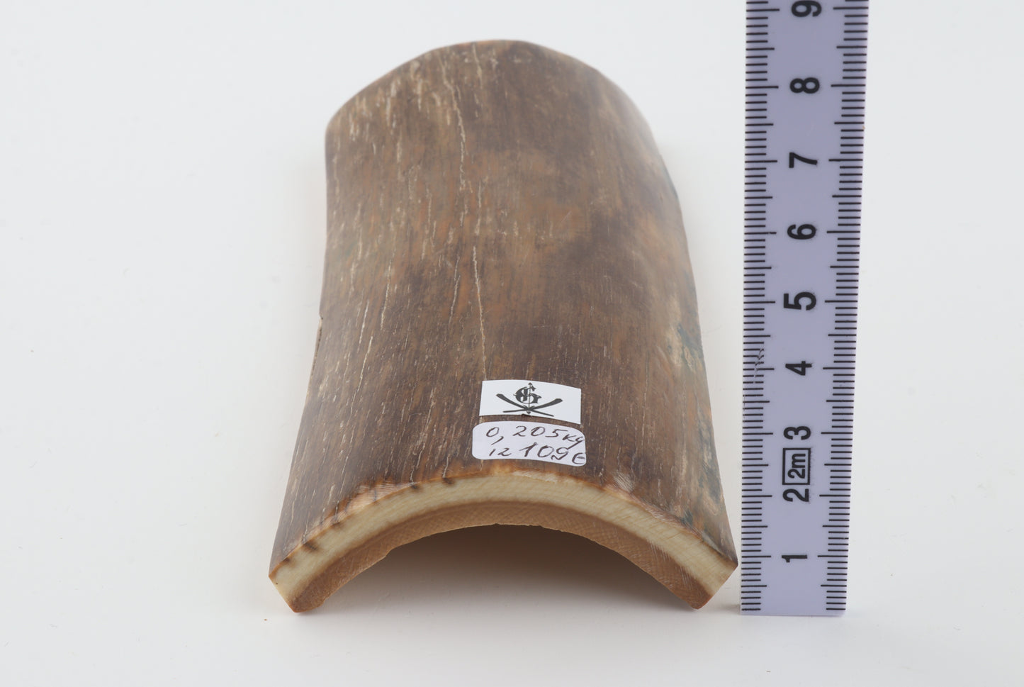 Green-brown mammoth bark