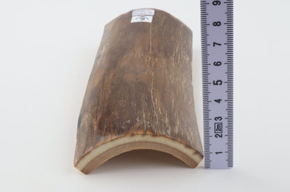 Green-brown mammoth bark