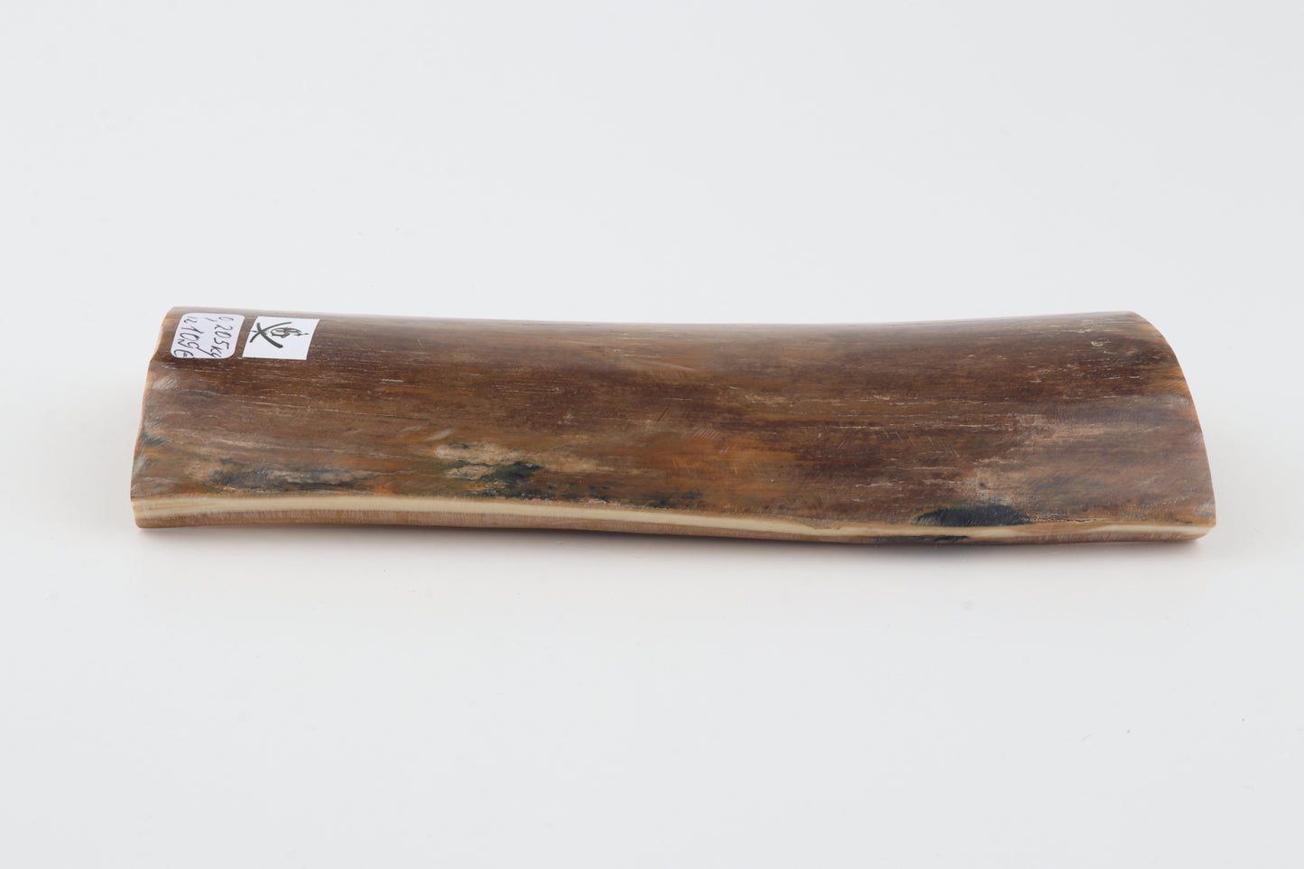 Green-brown mammoth bark