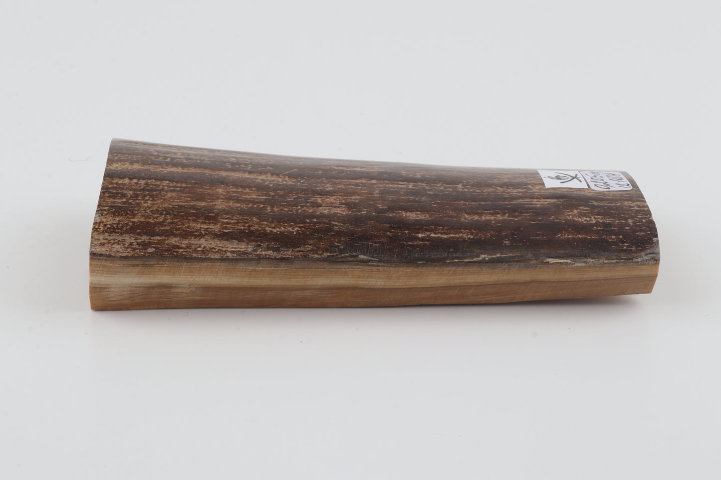 Brown woolly mammoth bark