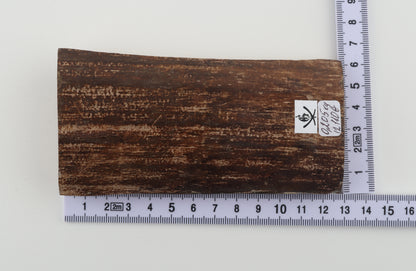 Brown woolly mammoth bark