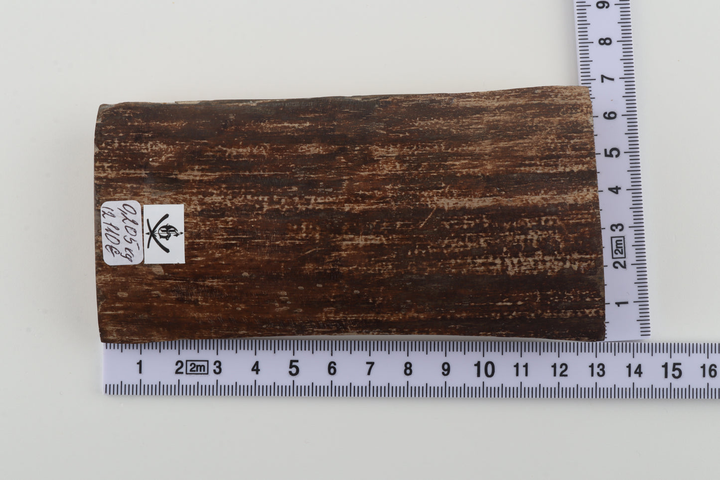 Brown woolly mammoth bark