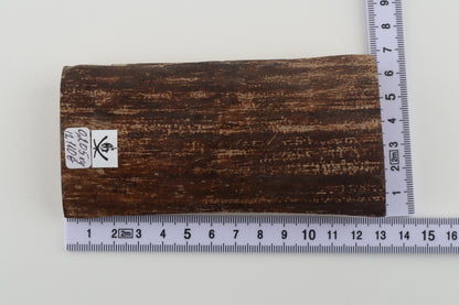 Brown woolly mammoth bark