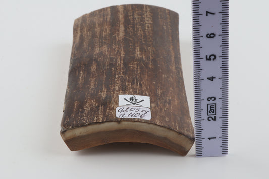 Brown woolly mammoth bark