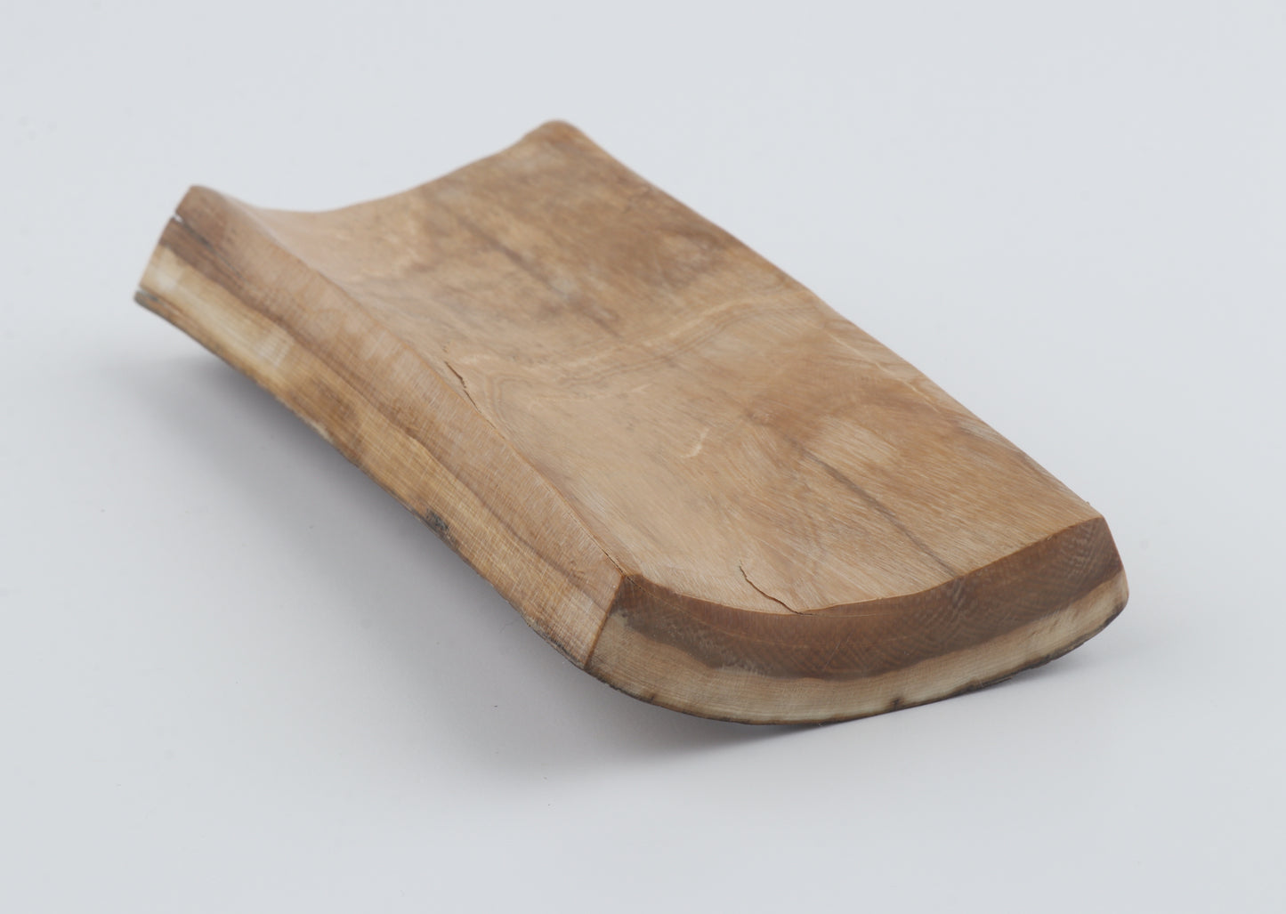 Brown woolly mammoth bark