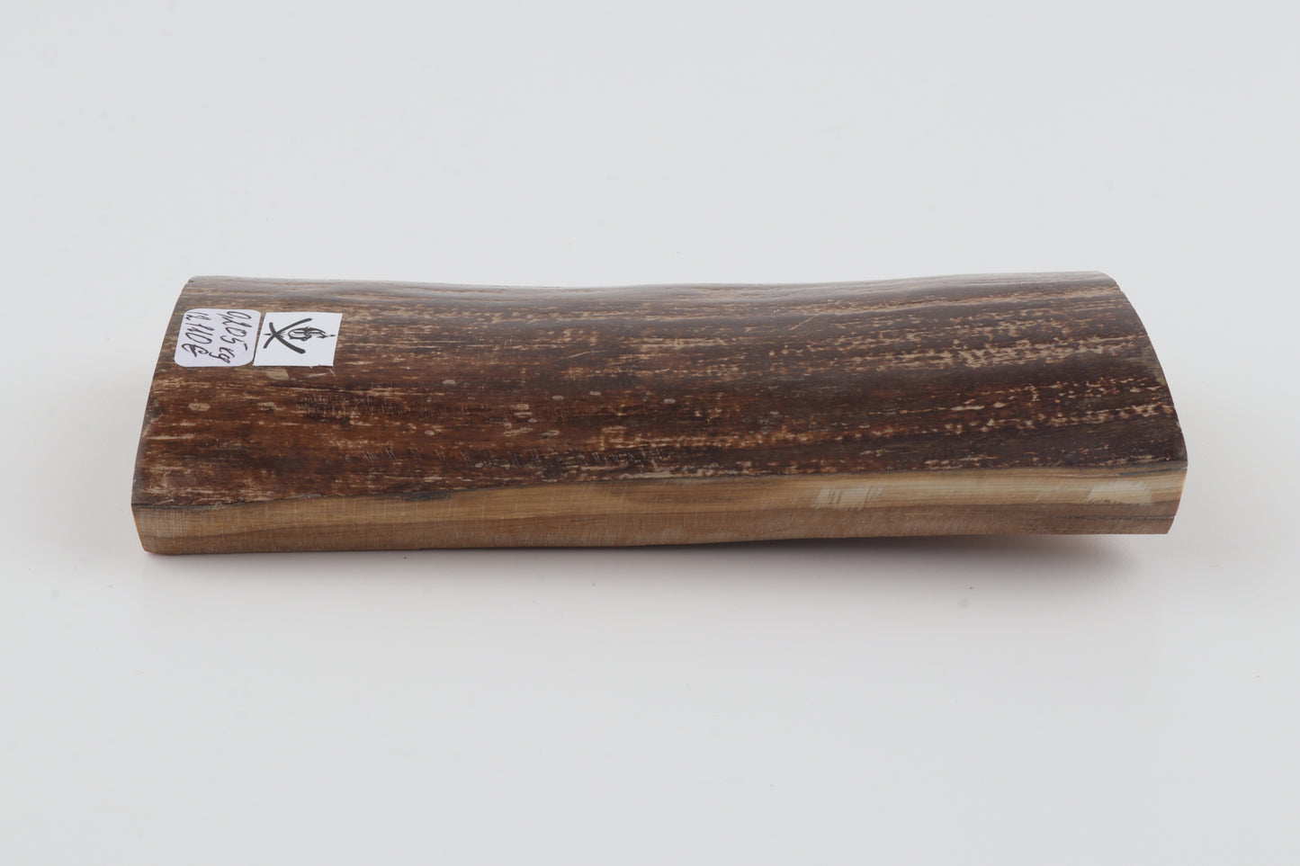 Brown woolly mammoth bark