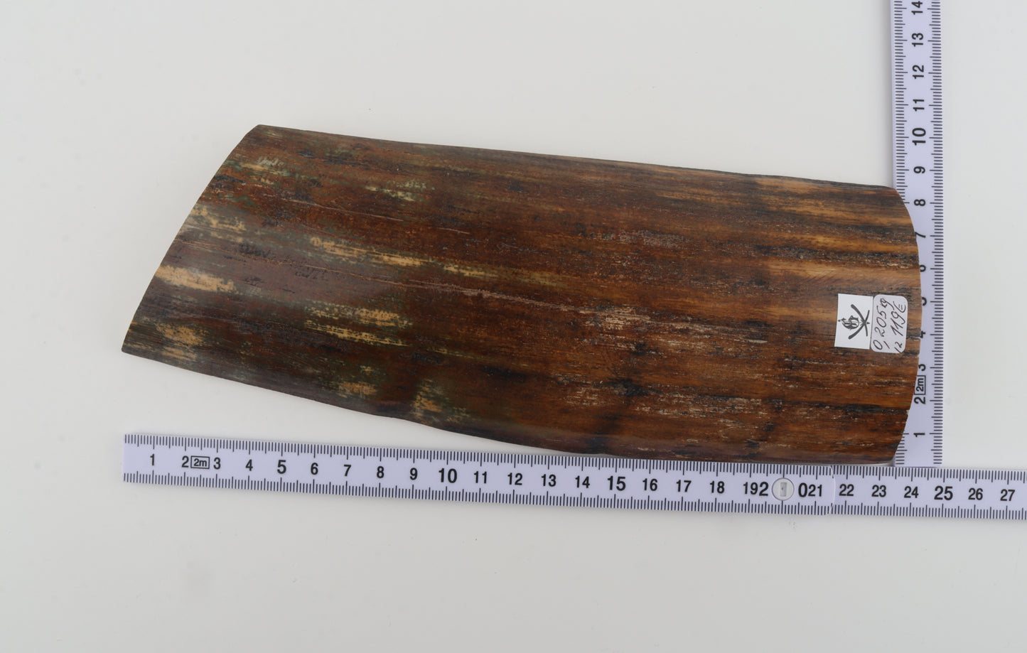 Brown-green mammoth bark