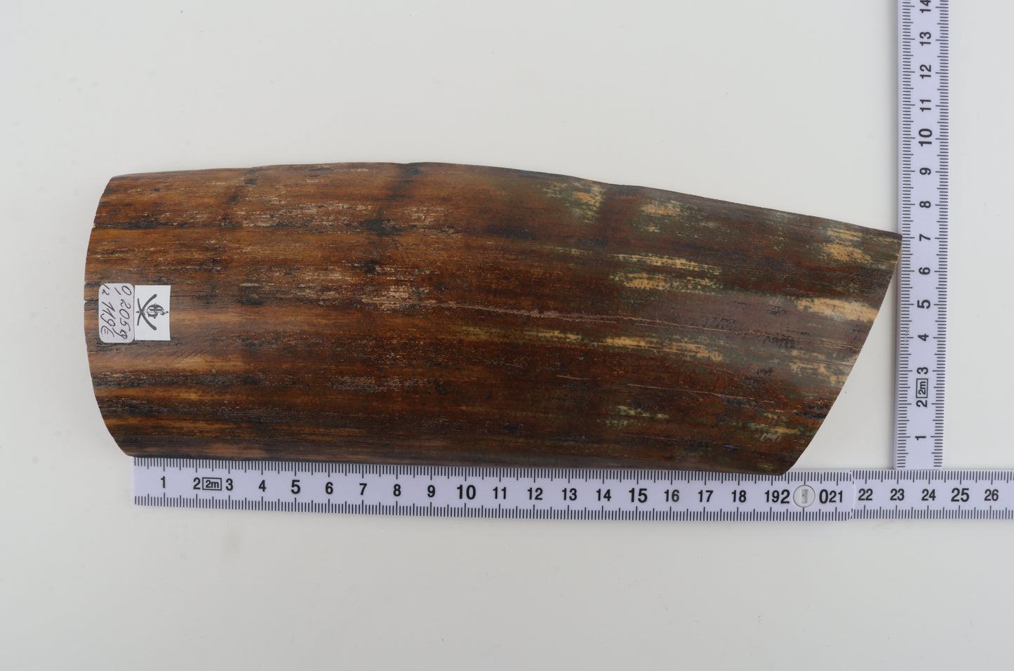 Brown-green mammoth bark