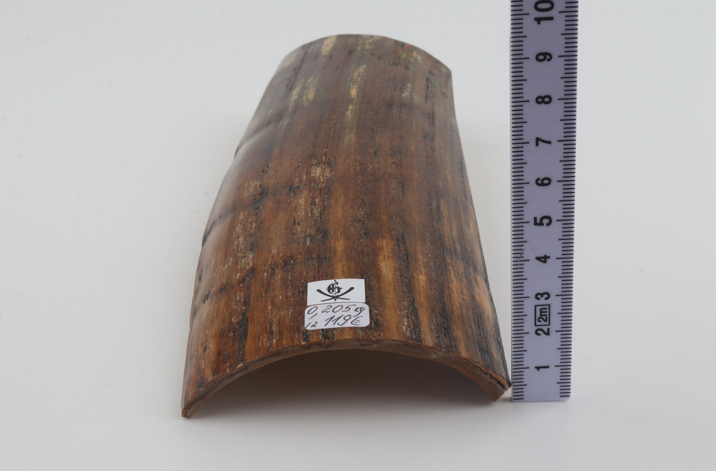 Brown-green mammoth bark