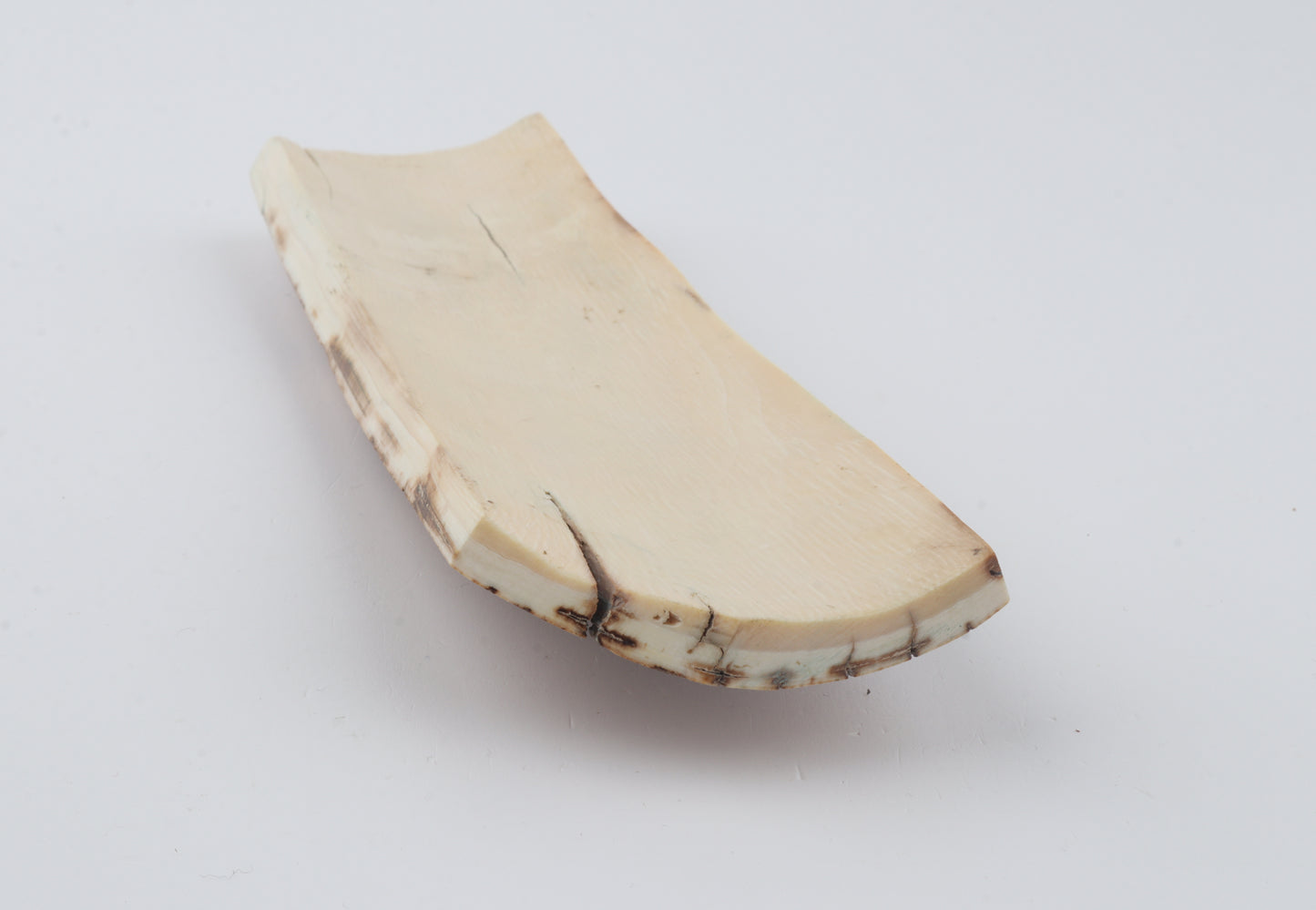 Orange-brown mammoth bark