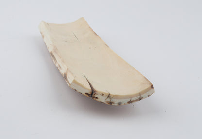 Orange-brown mammoth bark