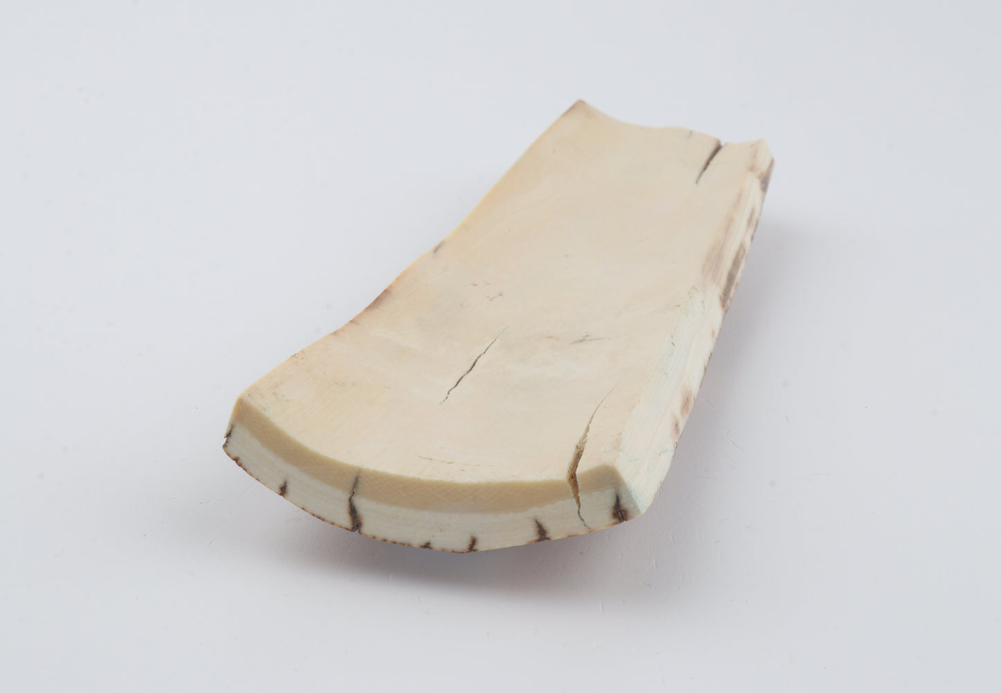 Orange-brown mammoth bark