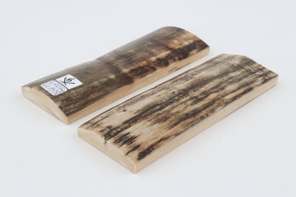 Natural mammoth bark scales