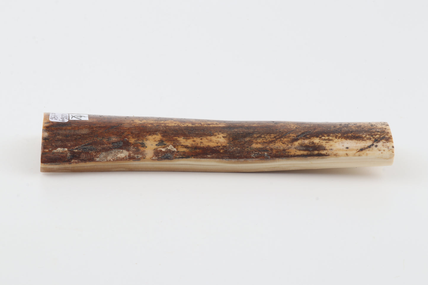 Brown-orange mammoth bark