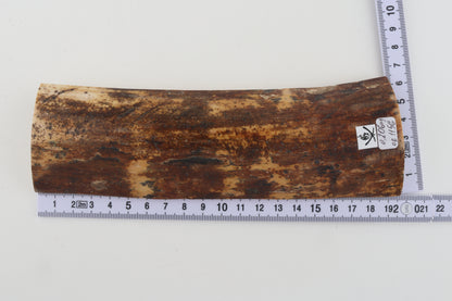Brown-orange mammoth bark